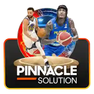 PINNACLE Solution