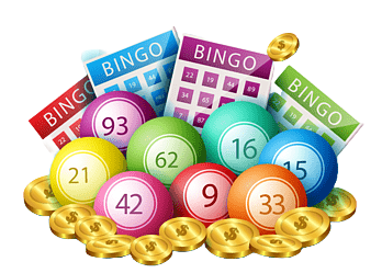 online bingo lottery