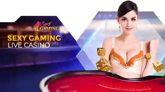 sexy casino